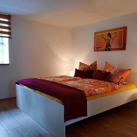 Ferienwohnung Villa Frosch マイニンゲン エクステリア 写真