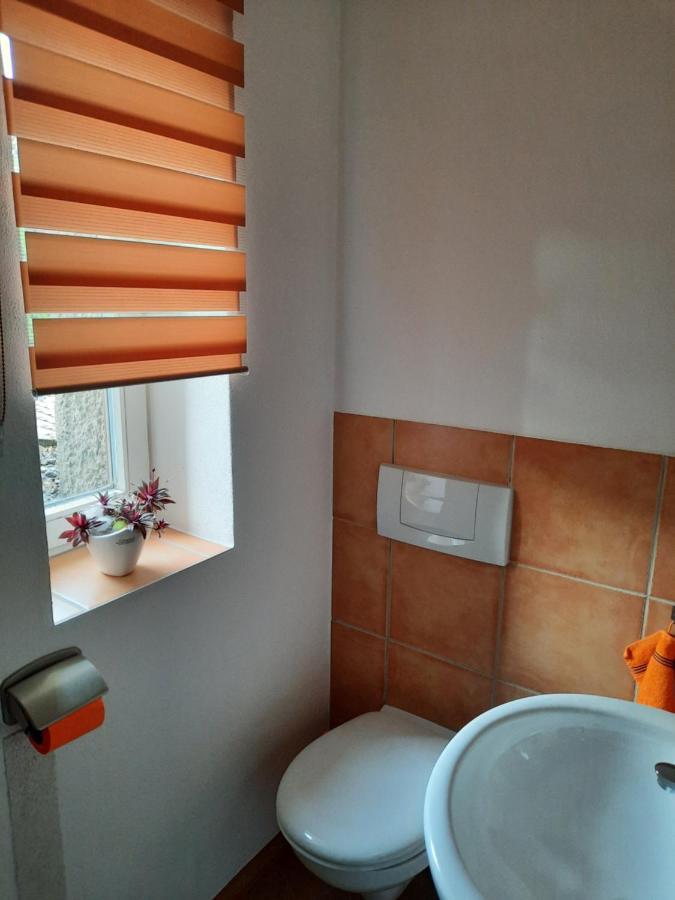 Ferienwohnung Villa Frosch マイニンゲン エクステリア 写真